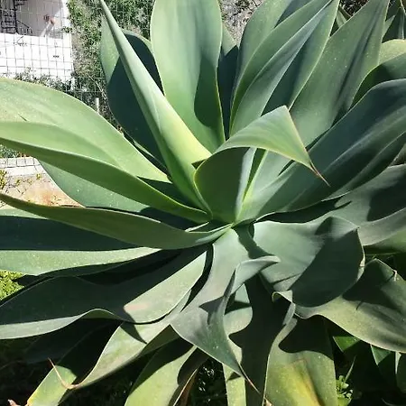 فندق مبيت وإفطار Karma 4*